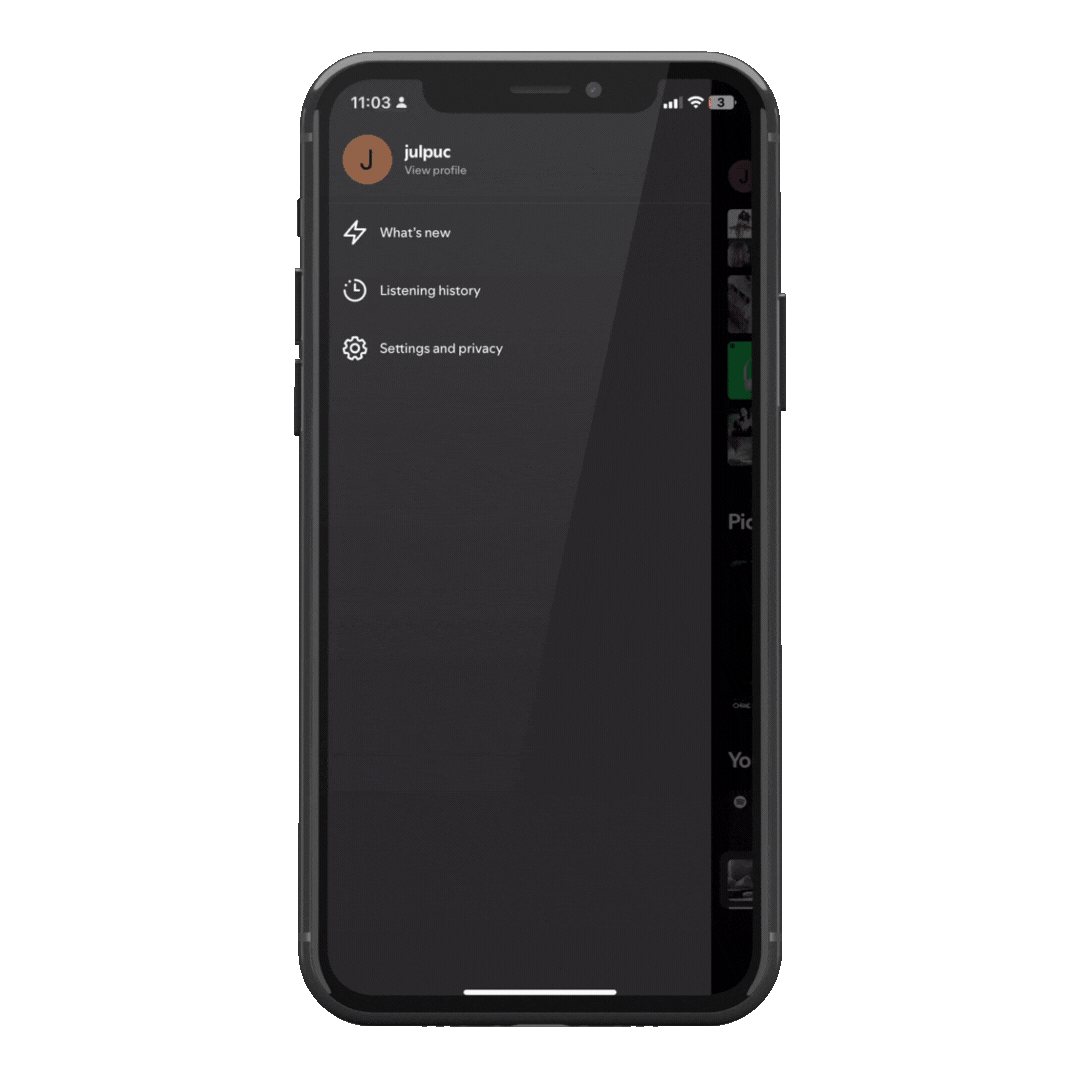 Spotify mobile menu with Settings and privacy, the route to the equaliser settings